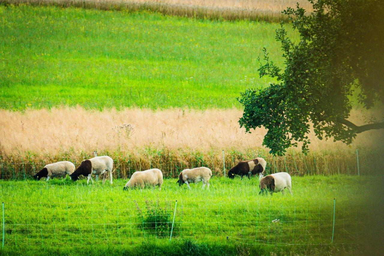 Familienhotel "Rhoen Feeling" Bernshausen Esterno foto